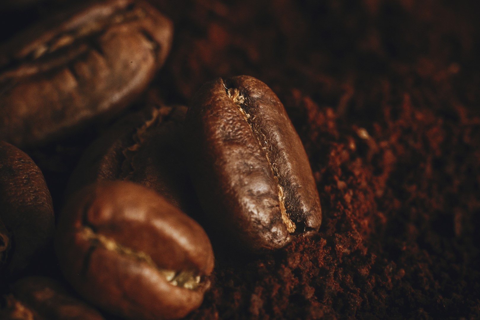 Coffee beans close up on grounded coffee pile. Fresh aromatic roasted coffee beans macro view. Space for text. Brown tone moody image