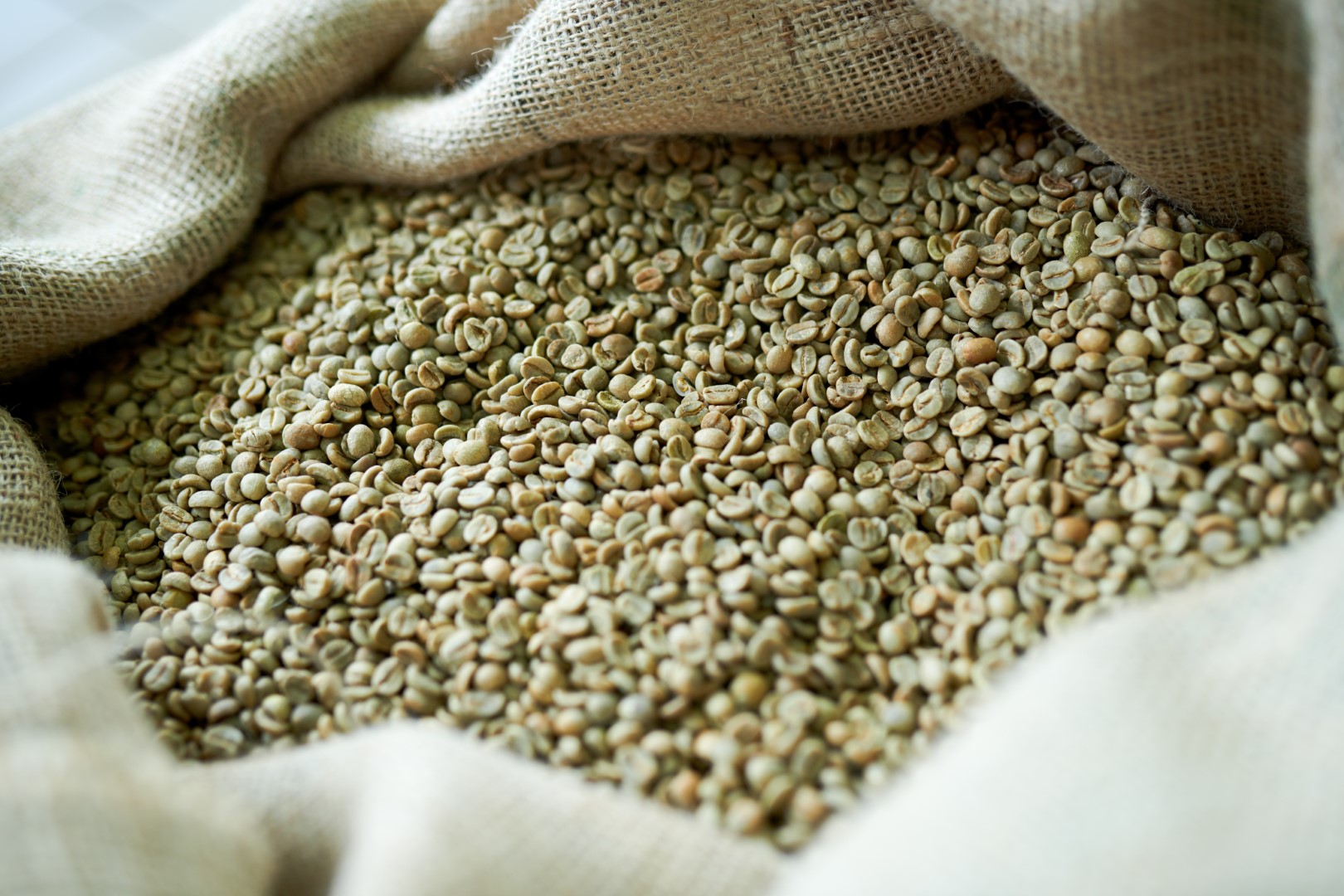 Close up background of fresh green coffee beans in burlap bag,  copy space