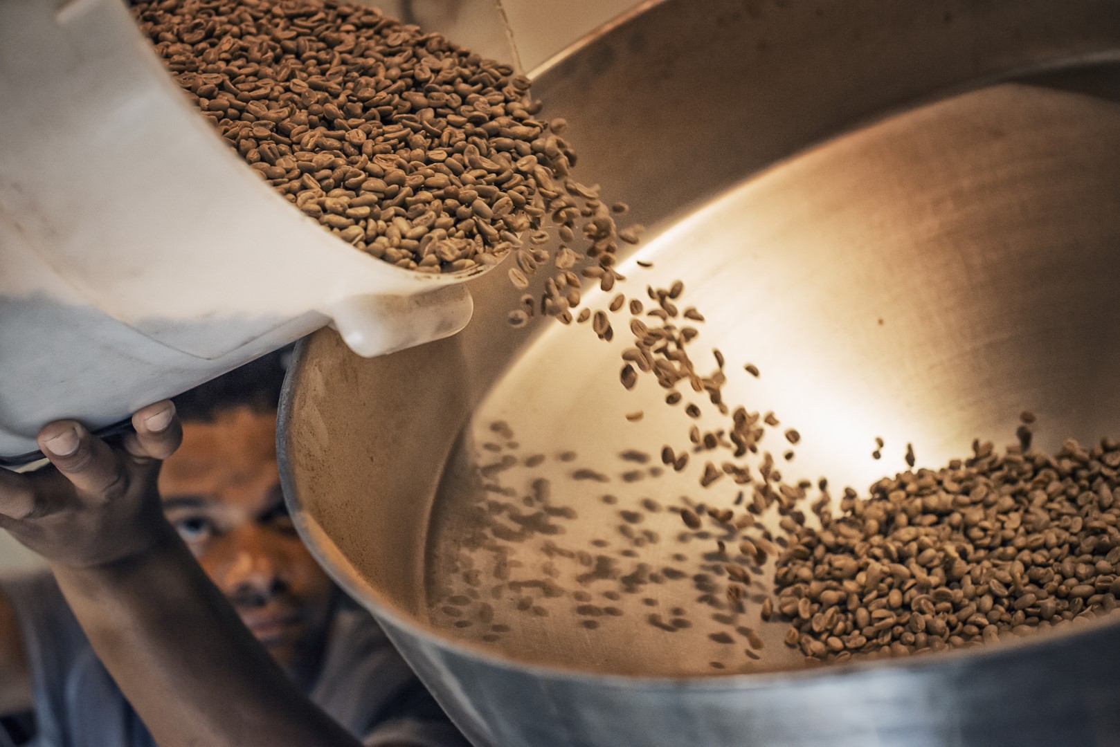Processing coffee beans for roasting and blending at a farm which imports coffee beans.
